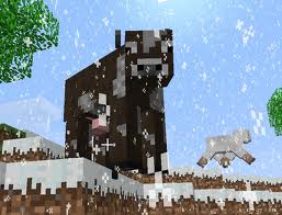 cow