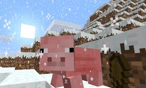 pig